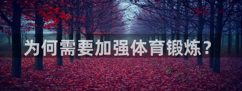 中欧数字经济混合c今日估值：为何需要加强体育锻炼？