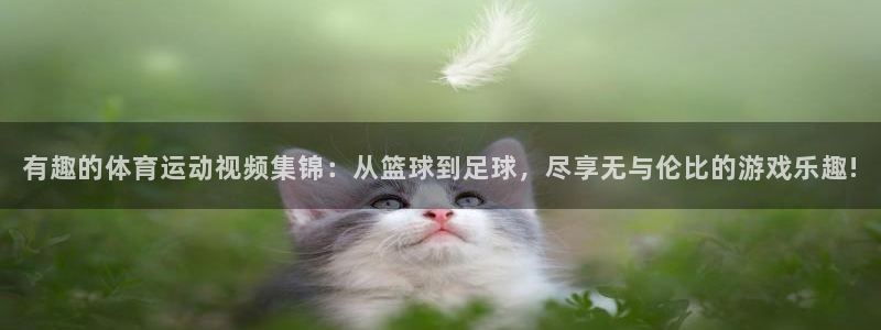 中欧MBA面试结果多久出：有趣的体育运动视频集锦：从篮球到足球，尽享无与伦比的游戏乐趣!