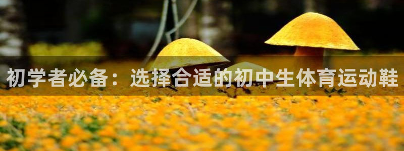 中欧体育zoty下载：初学者必备：选择合适的初中生体育运动鞋