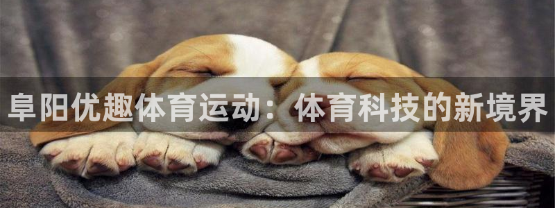 中欧列班路线：阜阳优趣体育运动：体育科技的新境界