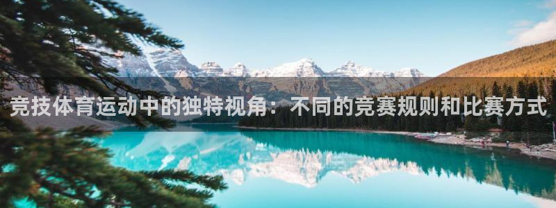 中欧科创园：竞技体育运动中的独特视角：不同的竞赛规则和比赛方式