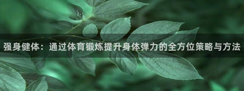 中欧信息科技混合c属于什么板块：强身健体：通过体育锻炼提升身体弹力的全方位策略与方法