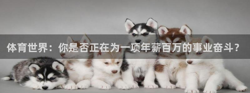 中欧fmba 学费：体育世界：你是否正在为一项年薪百万的事业奋斗？
