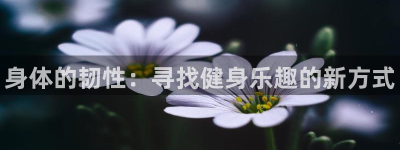 中欧工商国际学院：身体的韧性：寻找健身乐趣的新方式