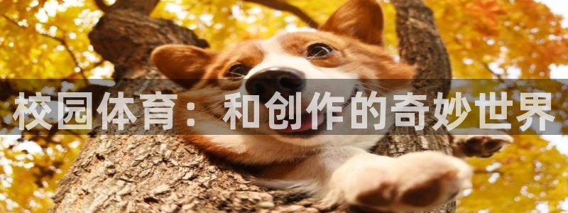 中欧汇率：校园体育：和创作的奇妙世界