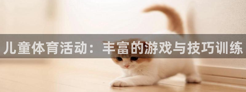 中欧制造升级混合c是什么基金：儿童体育活动：丰富的游戏与技巧训练
